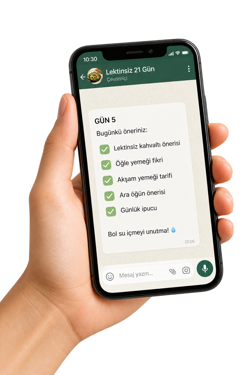 Lektinsiz 21 Gün WhatsApp grubundaki günlük menü paylaşımını gösteren örnek telefon ekranı